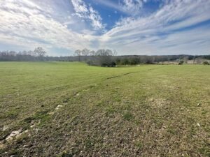 Property photo for land for sale in Tangipahoa County Louisiana