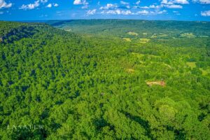 Property photo for land for sale in Boone County Arkansas