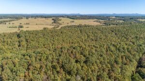 Property photo for land for sale in Polk County Arkansas