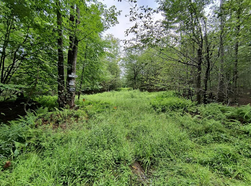 Property photo for land for sale in Sullivan County New York