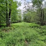 Property photo for land for sale in Sullivan County New York