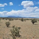 Property photo for land for sale in Santa Fe County New Mexico