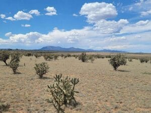 Property photo for land for sale in Santa Fe County New Mexico