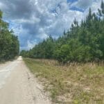 Property photo for land for sale in Gilchrist County Florida