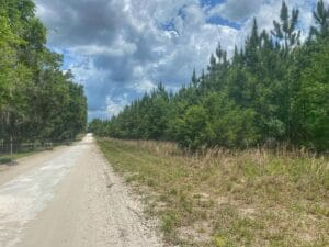 Property photo for land for sale in Gilchrist County Florida