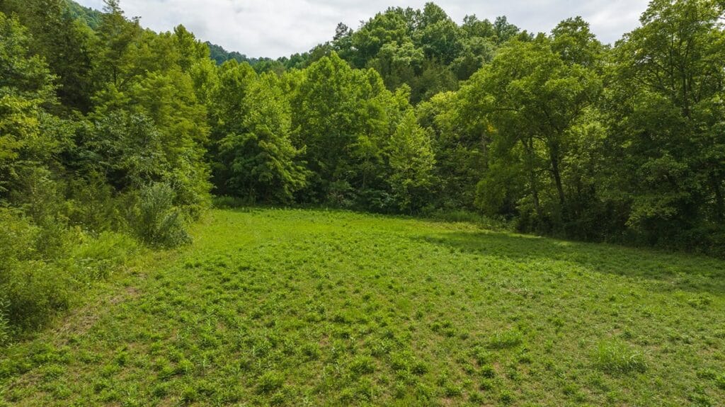 Property photo for land for sale in Hawkins County Tennessee