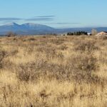 Property photo for land for sale in Torrance County New Mexico