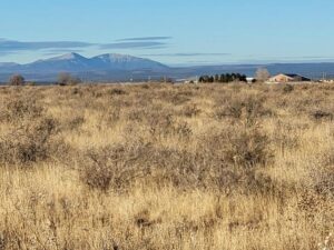 Property photo for land for sale in Torrance County New Mexico