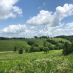 Property photo for land for sale in Greene County Tennessee