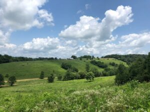 Property photo for land for sale in Greene County Tennessee