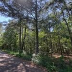 Property photo for land for sale in Harrison County Texas
