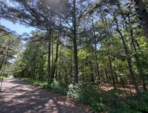 Property photo for land for sale in Harrison County Texas