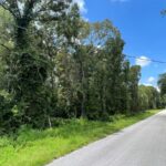 Property photo for land for sale in Levy County Florida