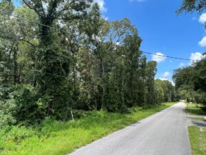 Property photo for land for sale in Levy County Florida