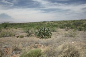 Property photo for land for sale in Cochise County Arizona