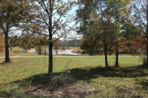 Property photo for land for sale in Howell County Missouri