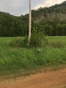 Property photo for land for sale in Izard County Arkansas