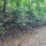 Property photo for land for sale in Ashe County North Carolina