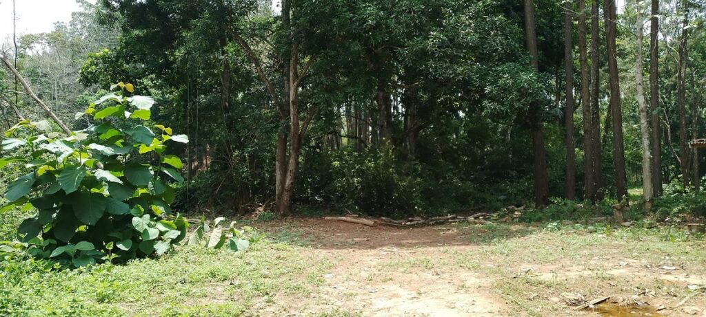 Property photo for land for sale in  County Panama