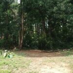 Property photo for land for sale in  County Panama