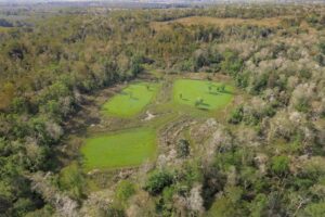 Property photo for land for sale in St. Helena County Louisiana