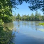 Property photo for land for sale in Montmorency County Michigan