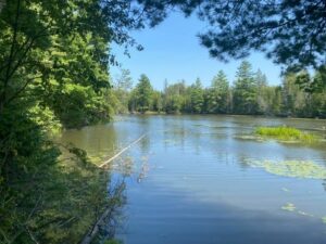 Property photo for land for sale in Montmorency County Michigan