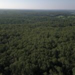 Property photo for land for sale in Dent County Missouri