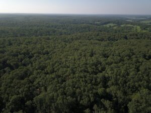 Property photo for land for sale in Dent County Missouri