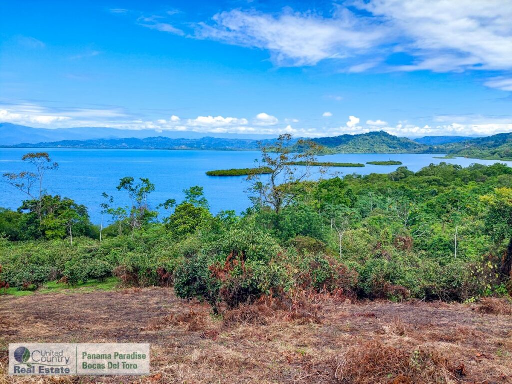 Property photo for land for sale in  County Panama