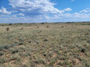 Property photo for land for sale in Santa Fe County New Mexico