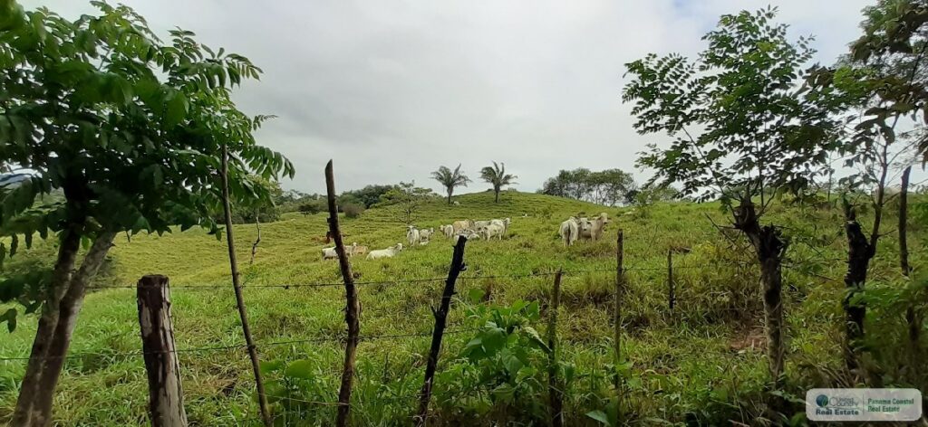 Property photo for land for sale in  County Panama