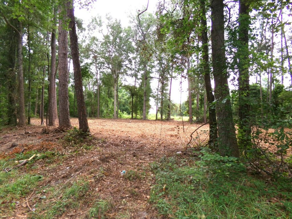 Property photo for land for sale in Emanuel County Georgia