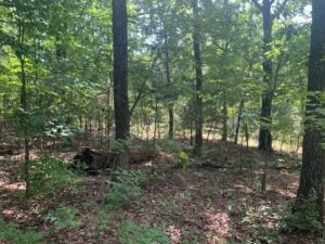 Property photo for land for sale in Baxter County Arkansas