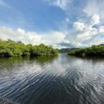 Property photo for land for sale in  County Panama