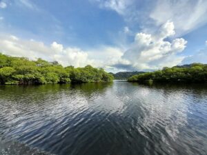 Property photo for land for sale in  County Panama