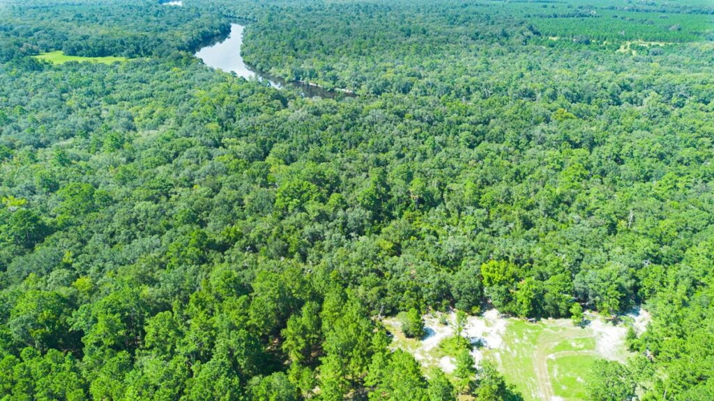 Property photo for land for sale in Lafayette County Florida