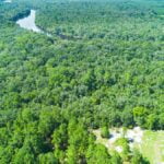 Property photo for land for sale in Lafayette County Florida