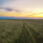 Property photo for land for sale in Phillips County Montana