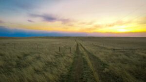 Property photo for land for sale in Phillips County Montana