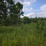 Property photo for land for sale in Pushmataha County Oklahoma