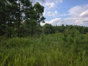 Property photo for land for sale in Pushmataha County Oklahoma