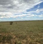 Property photo for land for sale in Torrance County New Mexico