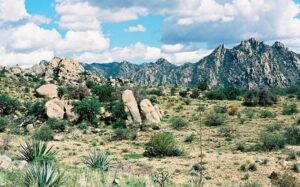 Property photo for land for sale in Cochise County Arizona