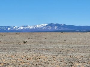 Property photo for land for sale in Torrance County New Mexico