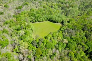 Property photo for land for sale in Crenshaw County Alabama