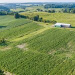 Property photo for land for sale in Monroe County Kentucky