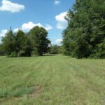 Property photo for land for sale in Lamar County Texas