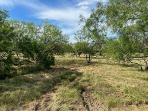 Property photo for land for sale in Brown County Texas