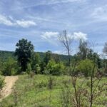 Property photo for land for sale in Boone County Arkansas